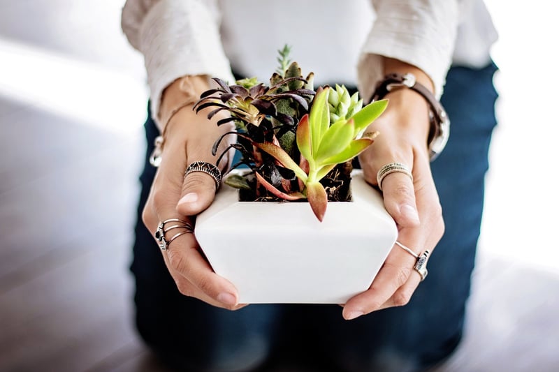 Vertical Plant Stand